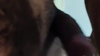 Tanya Stepsister-in-laws That Stepbrother-in-law Fucked