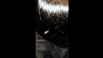 Asians Japanese Milfs Getting Hardcore Fu