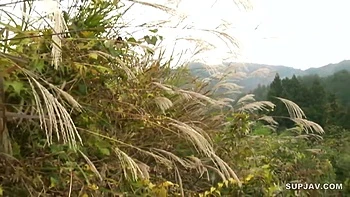 Japanese Stepsisters