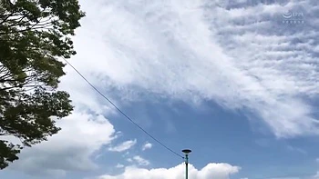 x1xBBC314B0B62D442B8F