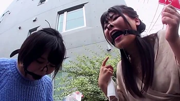 x3x93A2538EA6E2EE7590