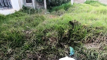 Amateur Blowjob in the Garden