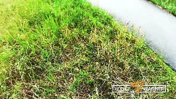 Harleen's public sex