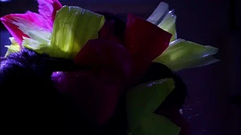 Teens gostosas em ménage hardcore POV fodendo