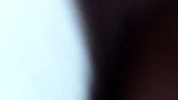 Koreanisches asiatisches Babe fingert ihre behaarte Fotze