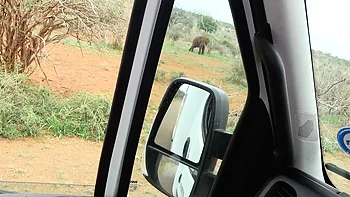 Hot Ebony GF Begs For Hardcore Doggy Fuck