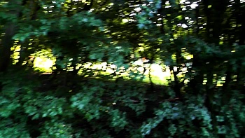 mariah leonne.boygirlsuperriskypovpublicfacial