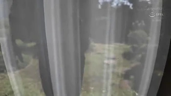 Compilado de orgasmos femininos asiáticos