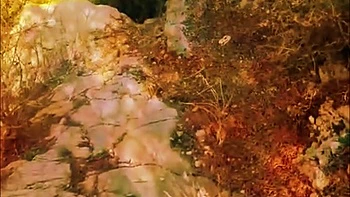 Sexo salvaje al aire libre en suelo duro - Verano indio