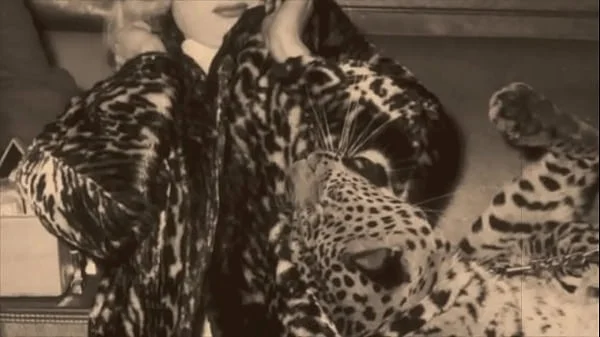 Vintage Babes With Pets