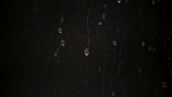 Pretty Lola Myluv - blondes porn - VIPissy